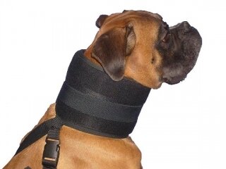 Límec bez kornoutu (pes) 13