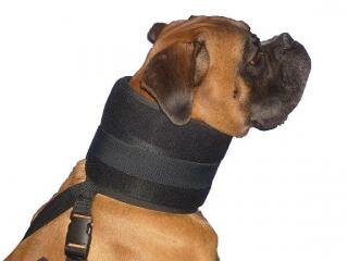 Límec bez kornoutu (pes) 15